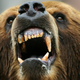 Illustration for article titled How to Calm Down an Angry Woman and/or Bear